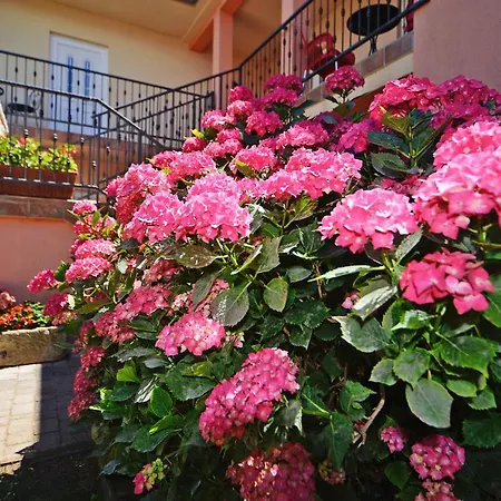 Apartman Red